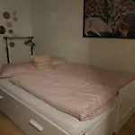 Trandafir Egtved