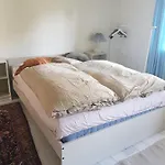 Trandafir 招待所