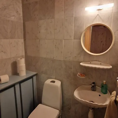 Trandafir Guest house