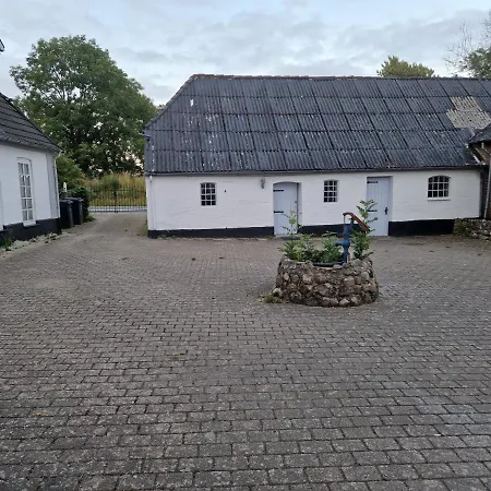 Trandafir 3* Egtved