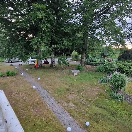 Trandafir Guest house