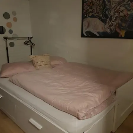 Trandafir Egtved