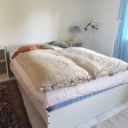 Trandafir Guest house