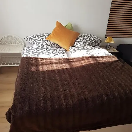 Trandafir بيت ضيافة Egtved