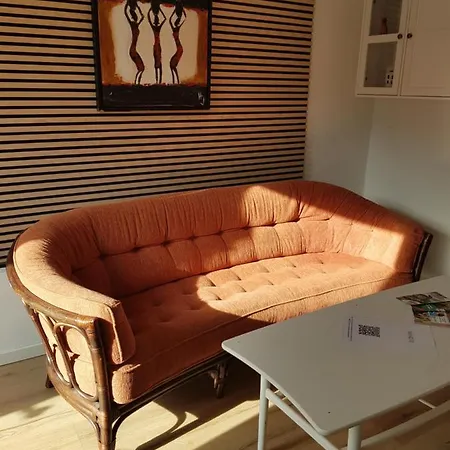 Guest house Trandafir