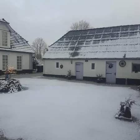 Trandafir * Egtved