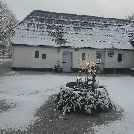 Trandafir Konukevi