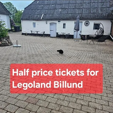 Trandafir Affittacamere Egtved