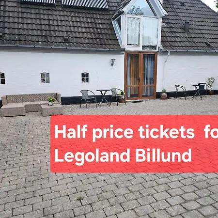 Trandafir Egtved
