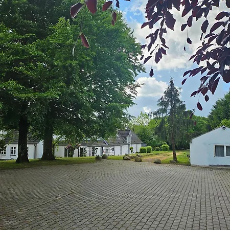 Trandafir