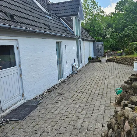 Guest house Trandafir