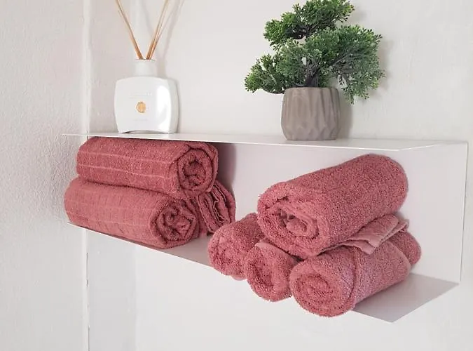 Trandafir 招待所 3*