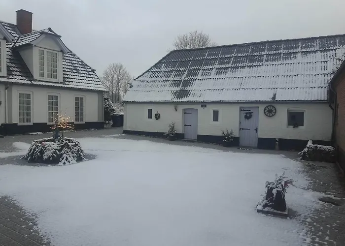 Trandafir 3* Egtved